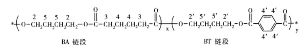 219-PBAT分子链
